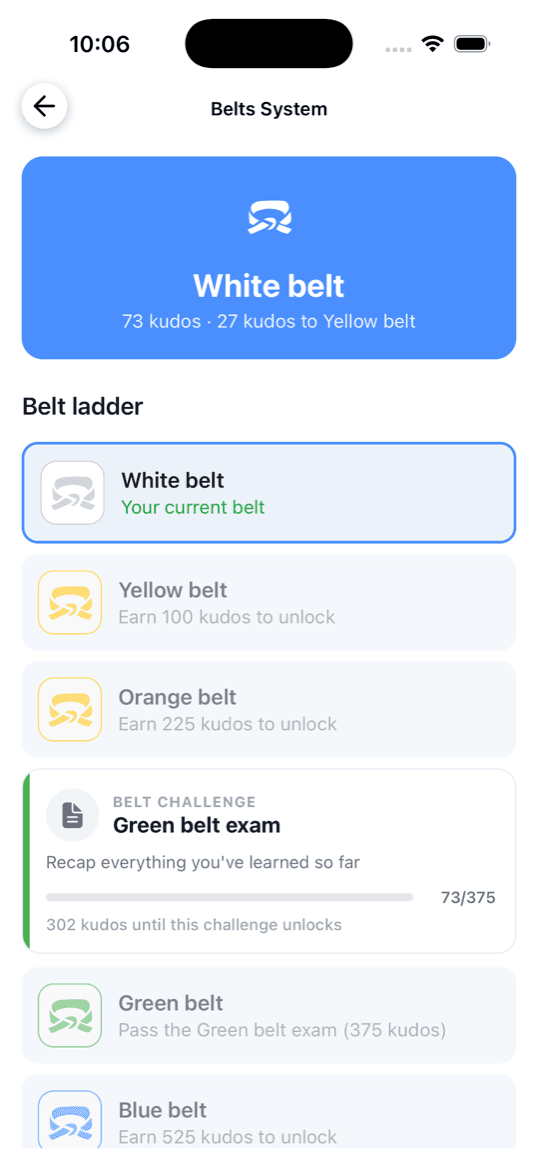 TechLingo belts system